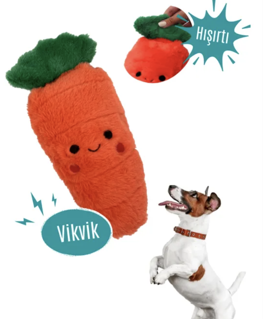 Chubby Carrot Plush Dog Toy